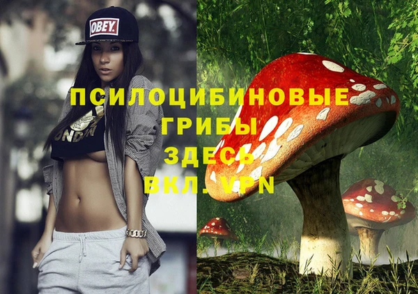 сатива Новодвинск