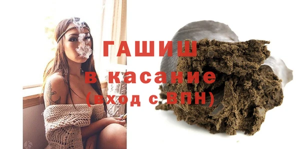 сатива Новодвинск